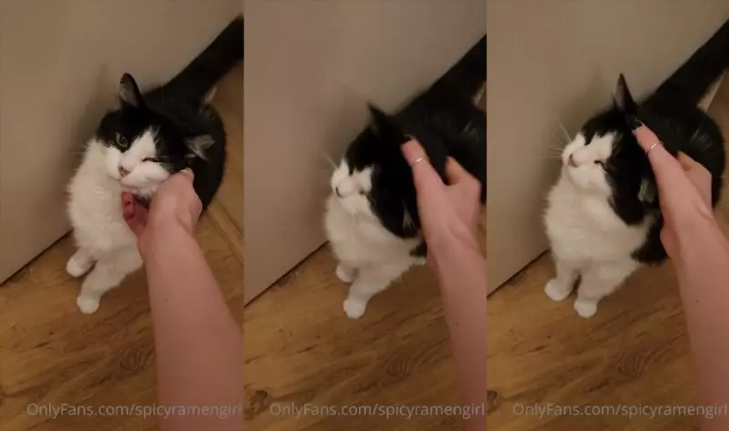 Video by  published on March 31, 2024 05:50:34