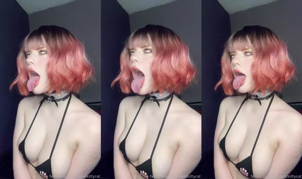  #24044